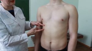 Активная подвижность нижнего края легкого