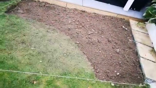 КАК СОЗДАТЬ НОВЫЕ КЛУМБЫ на газоне: мой личный опыт и советы. смотреть онлайн