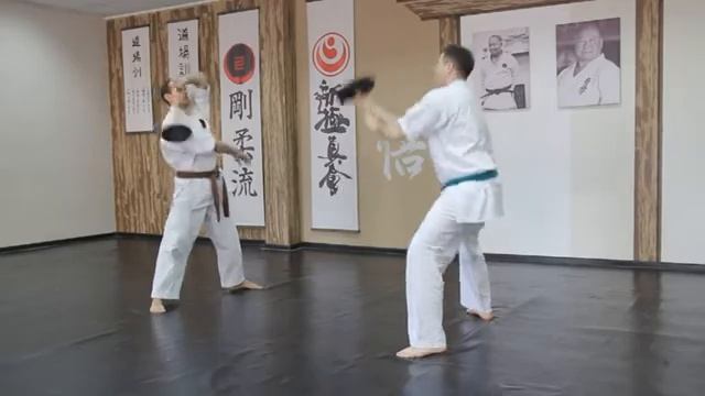 Окинава Годзю-рю каратэ в Сатори смотреть онлайн