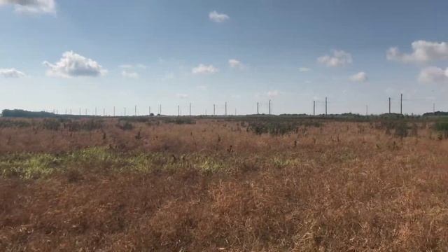 НИВА СК 5 пришла подмога молотим озимый горох смотреть онлайн