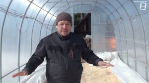 КОГДА ОТКРЫВАТЬ ВИНОГРАД ВЕСНОЙ В ТЕПЛИЦЕ? ОШИБКИ ПРИ ОТКРЫТИИ ВИНОГРАДА. ВИНОГРАД В ТЕПЛИЦЕ