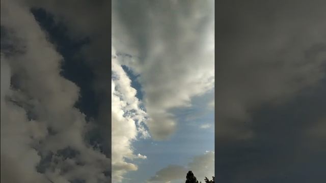 #нашсад #таджикистан #панджакент смотреть онлайн