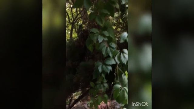 Дом в Опалихе смотреть онлайн