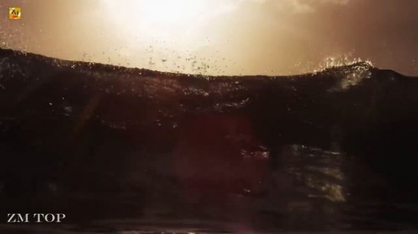 SEM Music Project -The Way I like