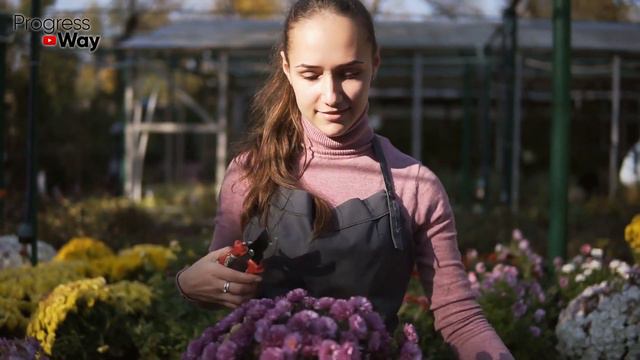 Укоренение Пеларгонии Проверенным Способом РЕЗУЛЬТАТ ВСЕГДА 100% Вас Удивит! смотреть онлайн