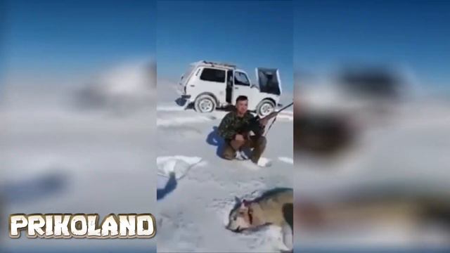 Только лучшие приколы за Февраль 2018 смотреть онлайн