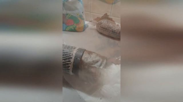 сыровяленая Коппа смотреть онлайн