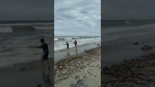 Прогулки по Калининграду.. Пионерск. Море смотреть онлайн