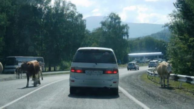 жизнь на развалинах исчезнувшей цивилизации 1 часть смотреть онлайн
