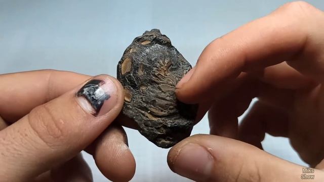 МОЯ КОЛЛЕКЦИЯ ОКАМЕНЕЛОСТЕЙ, КАМНЕЙ, ВОЗМОЖНО МЕТЕОРИТОВ! смотреть онлайн