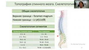 «Позвоночник. Позвоночный канал и его содержимое»