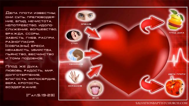 01 Проблемы сердца — «Сердце источник мыслей и чувств » смотреть онлайн