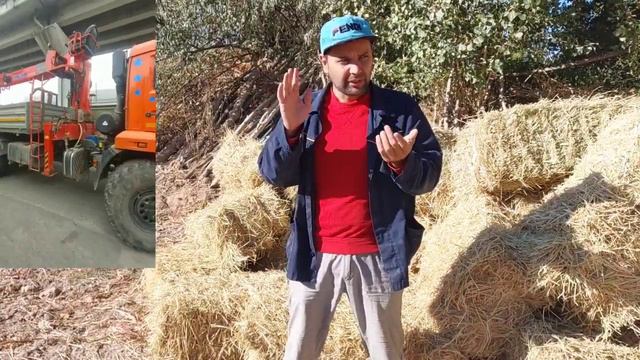 ТЕЛ +79017066260 МИША ХОЗЯИН ЗОР ФИРМА смотреть онлайн