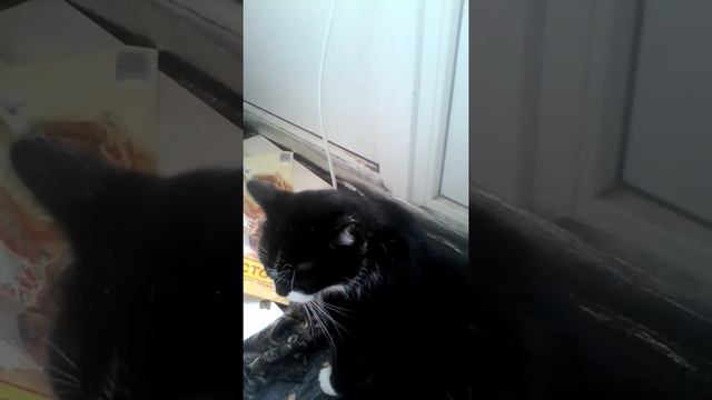 Прошу любить и жаловать!!! смотреть онлайн