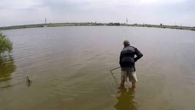 Белый амур 2017 смотреть онлайн