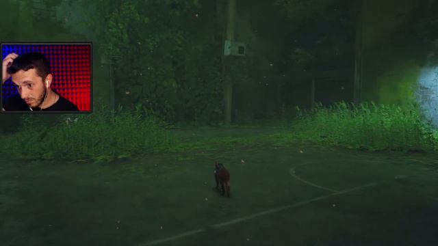 Кот в законе ФИНАЛ ➤ Stray ◉ Прохождение #3 смотреть онлайн
