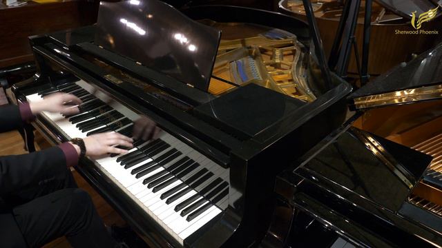 Blüthner Style 4 Baby Grand Piano - Demonstrated by Sherwood Phoenix смотреть онлайн