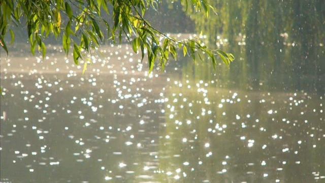 Жуковский "Приход весны" смотреть онлайн
