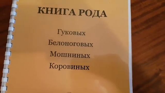 КНИГА РОДА в упрощенном варианте смотреть онлайн