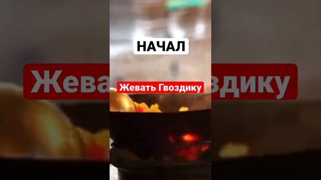 Просто начал Жевать Гвоздику!Избавился от 10 Недугов! Польза гвоздики. #гвоздика #какжеватьгвоздику смотреть онлайн