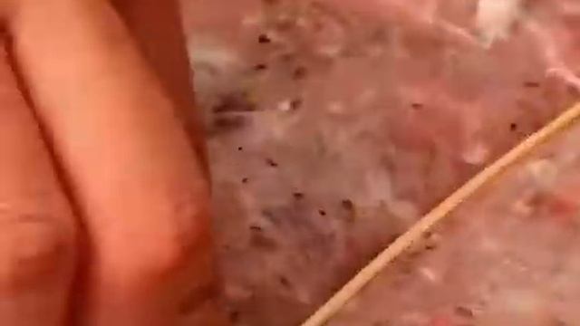 Как правильно хранить фарш. Один вариант отличный. смотреть онлайн