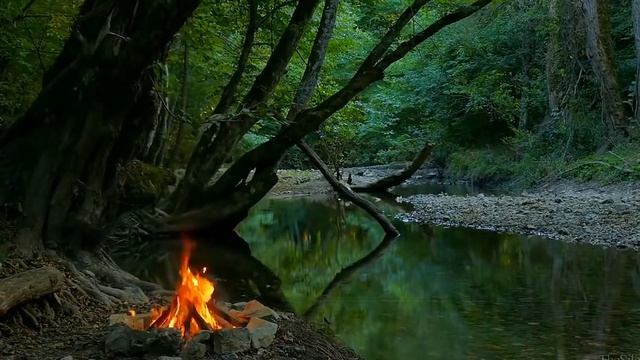 Радио Чат живое общение. смотреть онлайн