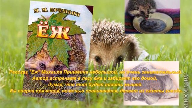Буктрейлер М.Пришвин "Рассказы о природе" смотреть онлайн