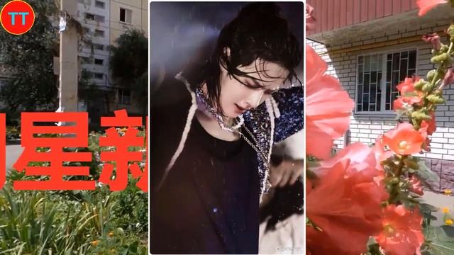 王一博是顶流还是一线 смотреть онлайн