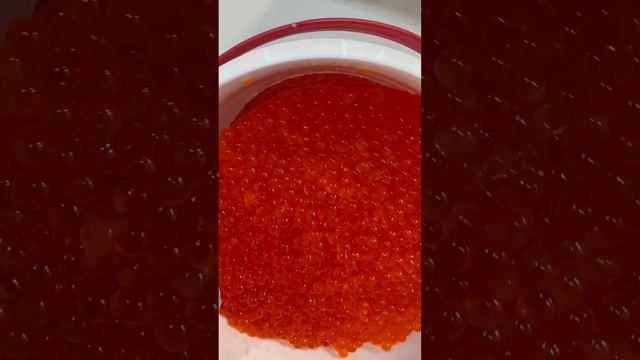 Икра форели. Продажа икры в Ростове-на-Дону. 09.02.2023 смотреть онлайн