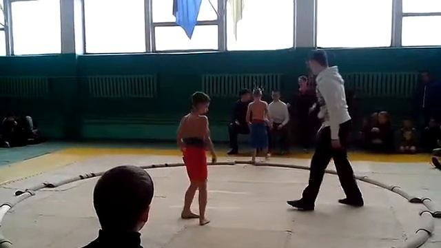 Сумо.Винница 21.02.2015. смотреть онлайн