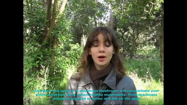 Mise en Garde. Champimaginatis. English Text. смотреть онлайн
