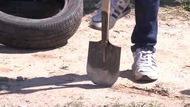 Аллея в честь 40-летия Любимого поселка Вольгинский! смотреть онлайн