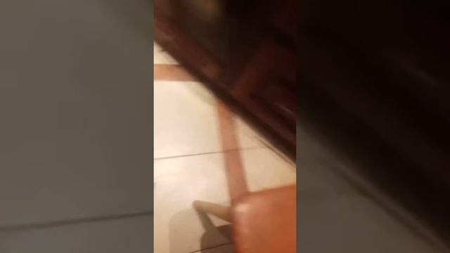 Топ 3 лайфхака для BEYBLADE BURST смотреть онлайн