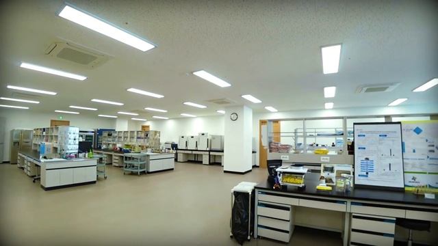 Где работает папа Ханби? Прогулка по корейскому офису;) смотреть онлайн