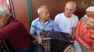 Новости из сквера гармонистов г Орла 20 08 2023