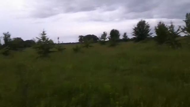 В поисках старины с ACE250