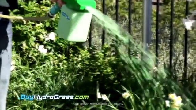 Hydro Grass by Canada Green - Lawn Hydroseeding System смотреть онлайн