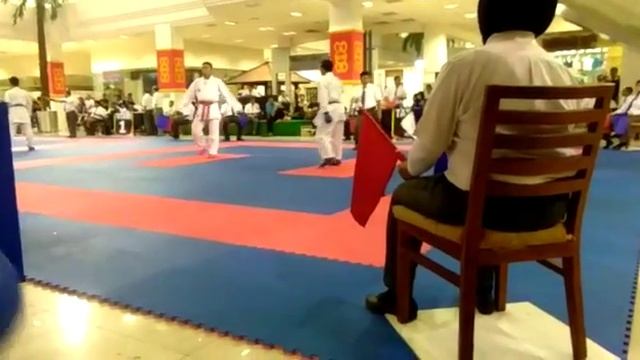 Karate Best Kyaku Zuki