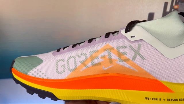 Nike Pegasus Trail 4 GoreTex Review& On foot смотреть онлайн
