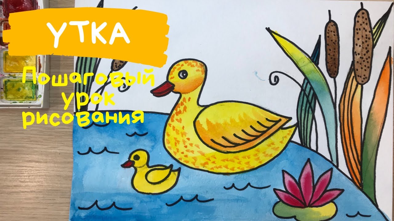 Утка с утятами рисунок. Как нарисовать УТКУ ребенку. Рисунок УТОЧКИ. Утка рисунок для детей. смотреть онлайн