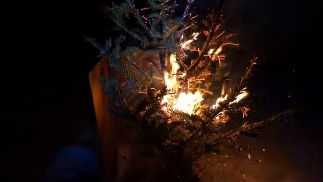 Поездка в бывший лагерь Жуково или раз, два, три - ёлочка гори! смотреть онлайн
