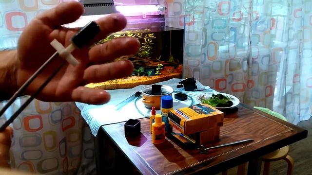 Большая чистка аквариума смотреть онлайн