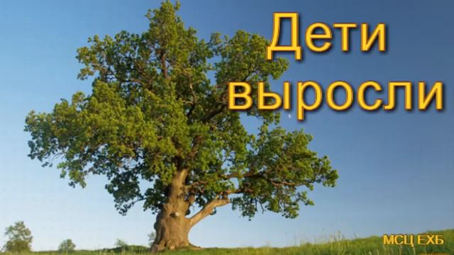 Дети выросли Ю Кравчук МСЦ ЕХБ ПРОПОВЕДЬ 2020 смотреть онлайн