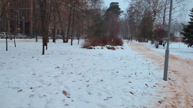 Полный обзор камеры Google Pixel 7. смотреть онлайн