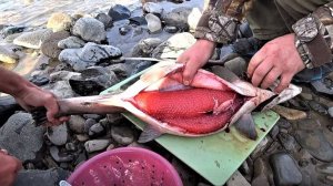 КРАСНАЯ ИКРА,  рыбалка на Дальнем Востоке на горной реке