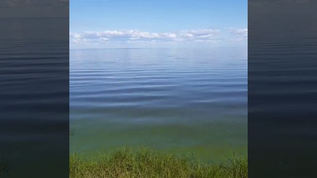 Музыка озера. смотреть онлайн