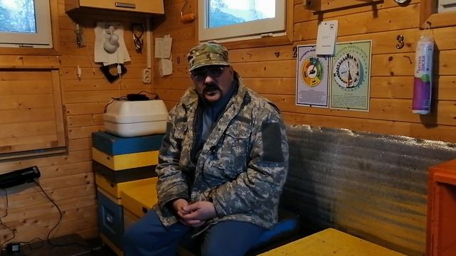 ? Про гибрид пчёл Бакфаст, Монтикола и Сахаренсис ? смотреть онлайн