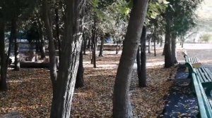 Крым, Евпатория санаторий Приморье." Отдых в октябре.