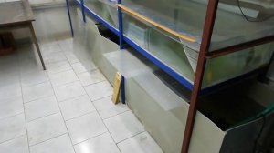 Обзор УЗВ для раков и самодельного аэратора