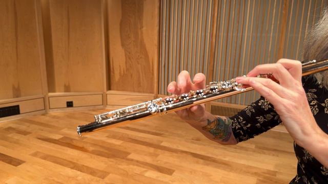 2024 NMEA Honor Band Flute and Piccolo Technical Etude смотреть онлайн